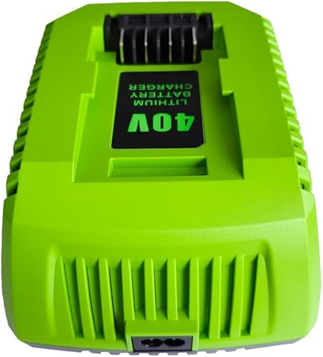 Miniatura 3 de Cargador de batería de repuesto de 40 V 2 A compatible con Greenworks 40 V batería de iones de litio 29482 29462 29472 2901319 2938302 BAF702 L-300