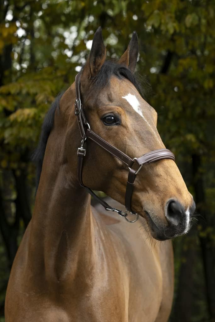 (Ekia) 3338025592727 Horse Riding Equipment NORT.PRO ANAT.Halter F/S HAVAN 510300318, oner Size, Other