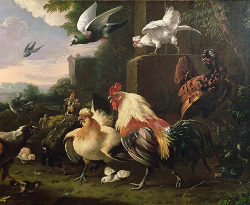 Art mural coq et volailles Melchior De Hondecoeter pour décoration chambre et salon