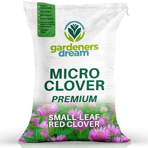 100g Premium Red Clover Grass Seed for Eco-Friendly Lawns - Drought Resistant Nitrogen Fixing Garden Ground Cover - for Low Maintenance Bee Friendly Gardens and Organic Farming (Covers 20m)