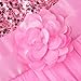 JerrisApparel Little Girls' Sequin Mesh Flower Ball Gown Party Dress Tulle Prom (7, Pink)