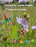 Chasing Frogs Chasing Hummers (Wanderer Weaver)