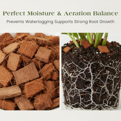 Image of Premium Natural Coconut Husk Chips 500g for Orchids & Reptile Bedding