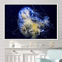Framed Canvas Wall Art Jellyfish Floating Colorful Fish Group Marine Life Multicolor Nautical Photography Realism Ultra - 16x24 inches