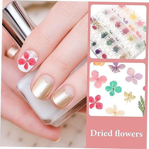 Flores secas naturales para manualidades DIY miniatura 3