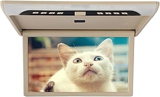 Suporte para montagem de encosto de cabeça para DVD Player Reprodutor de vídeo para carro de 19 polegadas HD Tela LCD 1080P Monitor de carro para montagem no teto MP5 Auto TV de teto USB FM HDMI Link