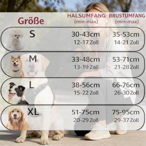 Anti Zieh Geschirr für Hunde – Ergonomisches Anti-Zieh-Design mit Griff & Schleppseil, Step-In-Design, Atmungsaktiv & Gepolstert, für Hunde jeder Größe (Orange, M)