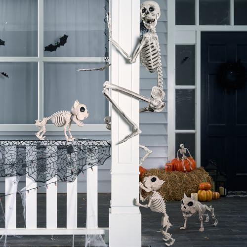 Image of JOYIN 5.6 FT Halloween Posable Life Size Skeleton Full Body Realistic Bones with Movable Joints for Halloween Indoor and Outdoor Decoration Props Spooky Scene Party Decorations (White)