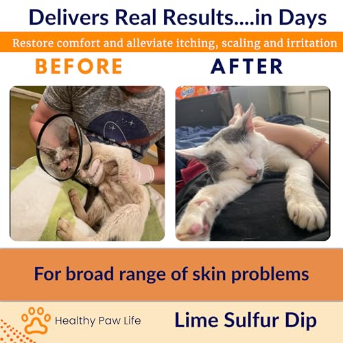 Classic's Lime Sulfur Dip - Pet Care for Itchy and Dry Skin - Xtra Strength Formula - Safe Solution for Dog, Cat, Puppy, Kitten, Horse (16 fl oz)