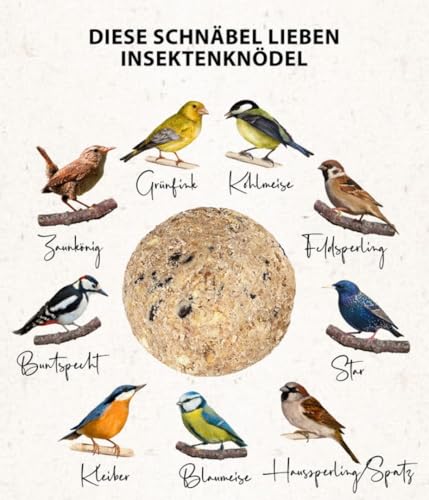 Dehner Natura Premium Meisenknödel ohne Netz, Insektenknödel, ganzjähriges Wildvogelfutter proteinreich / energiereich, im Eimer, 100 Stück je 90 g (9 kg)