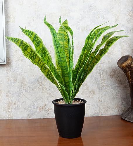 Image of Foliyaj Artificial Snake Plant with Black Pot with Embedded Brown Stones | 38 cm Tall | Plants for Home Decor | Indoor Plants for Living Room