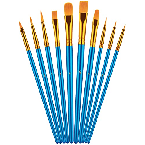 Paint Brush Set, 10 Pcs Paint Brushes for Acrylic Painting, Round Pointed Tip Detail Small Paint...