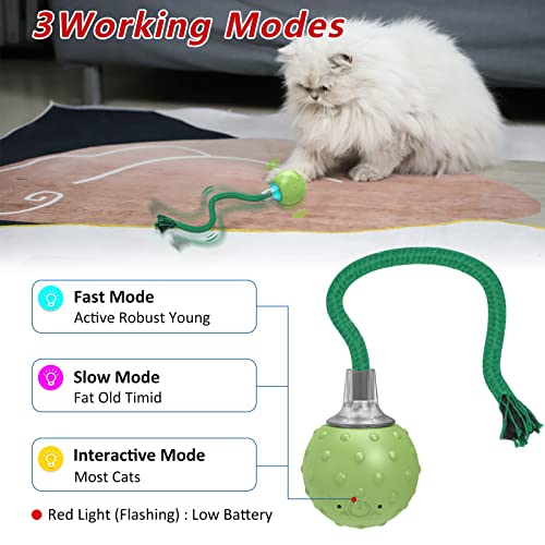 Saolife Interactive Cat Toys Ball, Motion Activated Electric Rolling Ball Toys For Cats/Kitty, Pets Smart Automatic Teaser, Usb Rechargeable #TOP3
