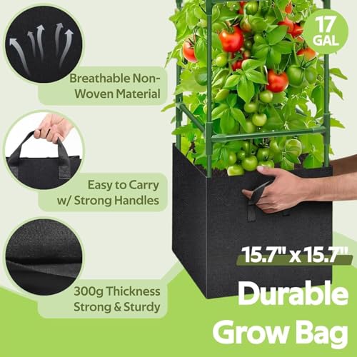 Cage de support pour tomates : protégez vos plantations du vent - 5