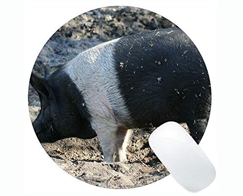 Animal Art Mousepad, Mascota Impresa con un Adorable Cerdito