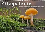 14 Seiten bestehend aus 1 Coverbild | 12 Monatsbilder | 1 Indexseite. Inklusive Papprücken hinten und vorderseitig einer Klarsichtfolie.