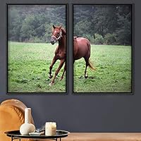 2 Piece Framed Canvas Wall Art Horse Canvas Prints Home Artwork Decoration for Living Room,Bedroom - 16