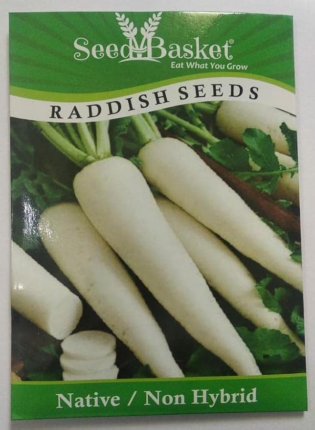 Desi/Non-GMO Radish Seeds for Home and Kitchen and Vegetable Gardening | 200 Seeds | Best in Germination | Free Growing Instruction Manual-image-34