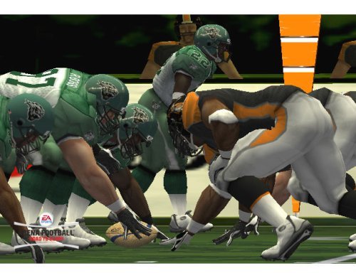 Image of Arena Football: Road to Glory (Renewed)