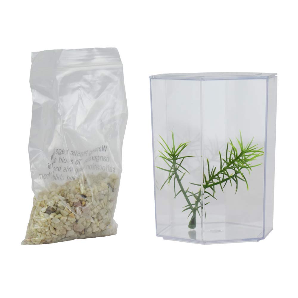 Lee's Betta Keeper with Lid, Gravel and Plant - Small