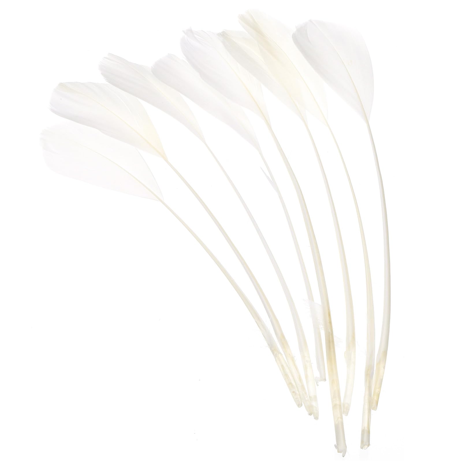 PATIKIL 6-8 Inch Goose Feathers, 100 Pack Bulk Natural Feathers for Crafts Carnival Handwork Clothing Costumes Wedding Party Style 4, White