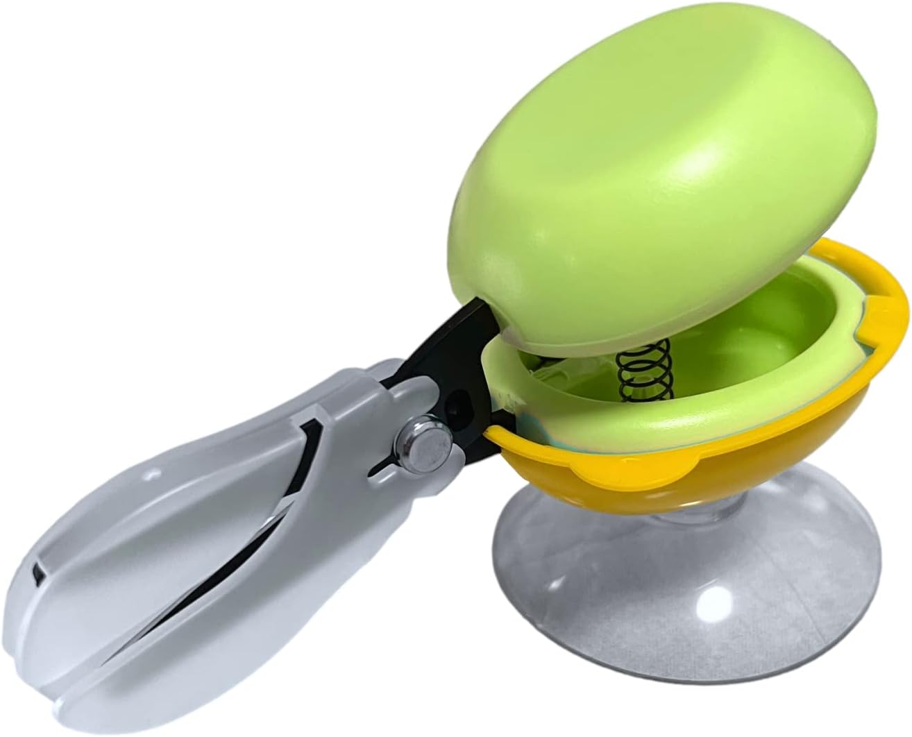 HARAC Table Top Scissors with Base Adapted Scissors Spring Loaded, Safety Push Down Scissors for Special Needs, Ambidextrous Training Scissors, Made in Japan, Green