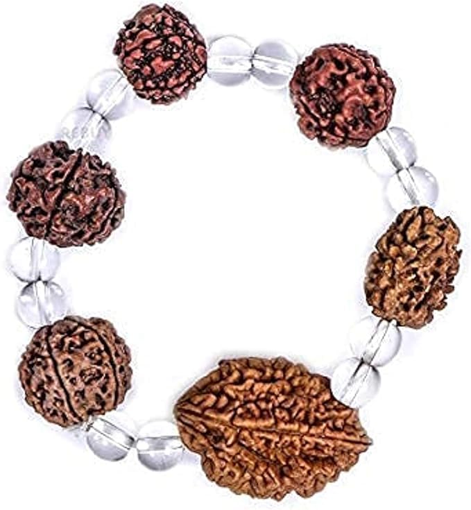 REBUYLab Certificate 2-7 Mukhi Rudraksha Beads Bracelet For Men & Women | Traditional Rudraksha for Protection, Energy Balance, Positive Vibes, Boosted Confidence, Spiritual Growth | Pack of 1