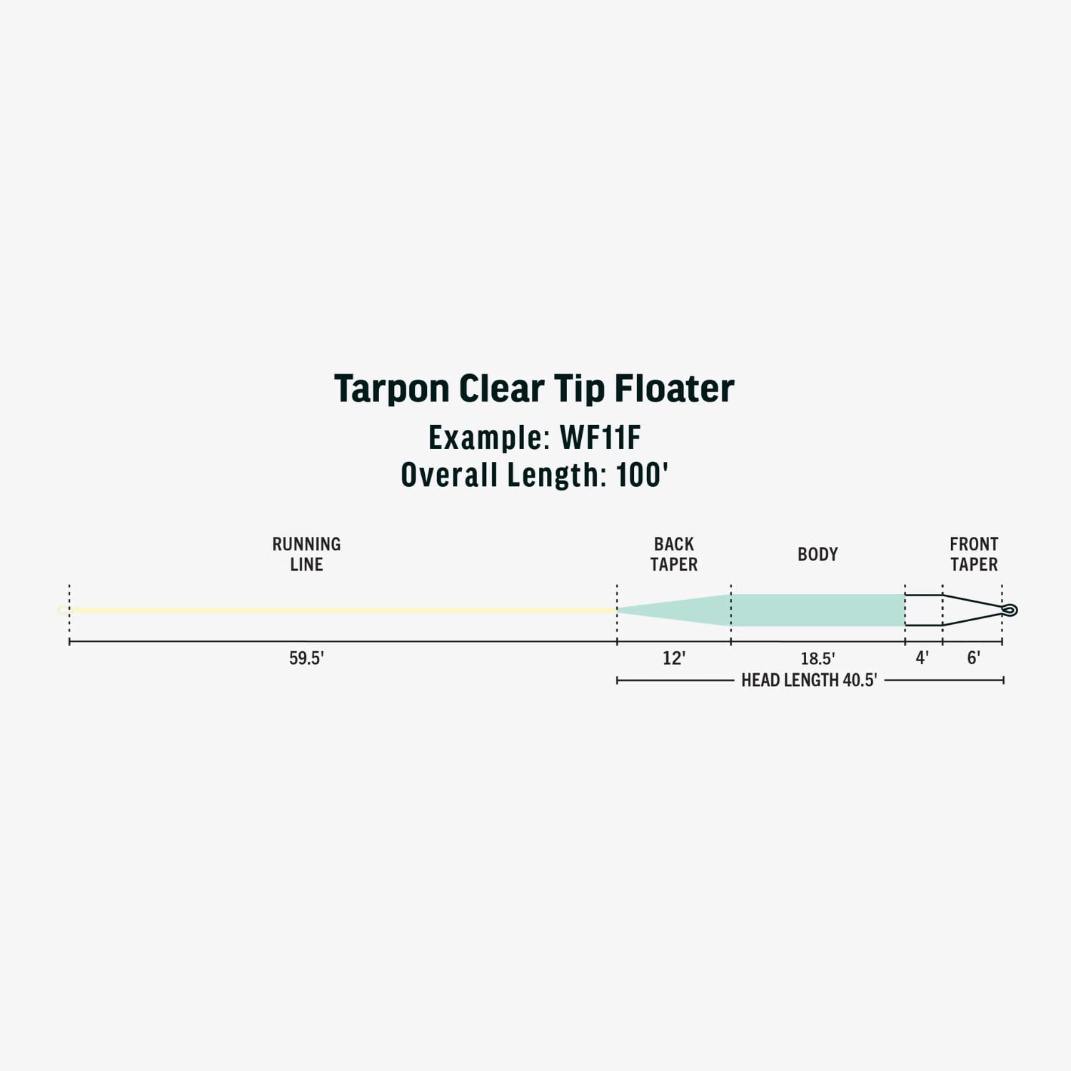 RIO Products Premier Tarpon Clear Tip Floater, Saltwater Fly Line, Low Stretch, WF11F, Clear/Seafoam/Sand - Image 3