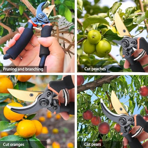 Image of 8-Inch Professional Bypass Pruning Shears - Titanium Coated SK5 Steel Secateurs with Soft Foam Cushion Grip - Heavy Duty Garden Scissors & Plant Cutter for Branches, Stems & Roses