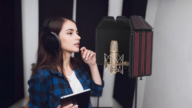 Panneau Acoustique Micro Bouclier d'isolation Panneau de Microphone EVA Mousse éponge réduction