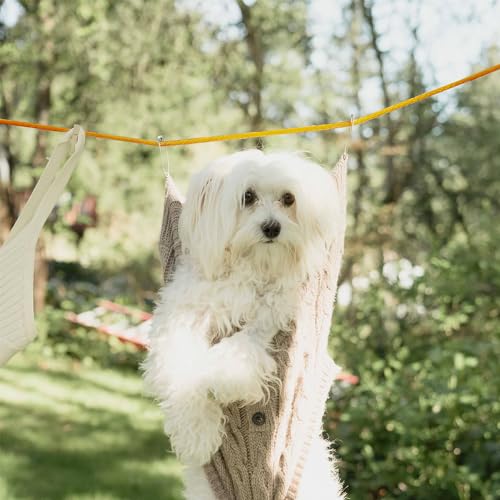 Rumyve Retractable Washing Line Expandable,Camping Retractable Clothesline,10 m Outdoor Clothesline,Outdoor Indoor Laundry Garden Tour - Image 3