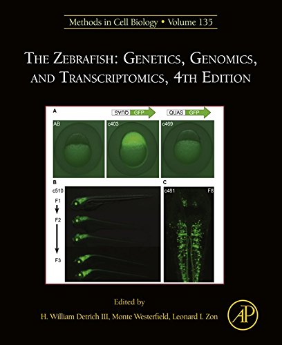 The Zebrafish: Genetics, Genomics, and Transcriptomics (ISSN Book 135)