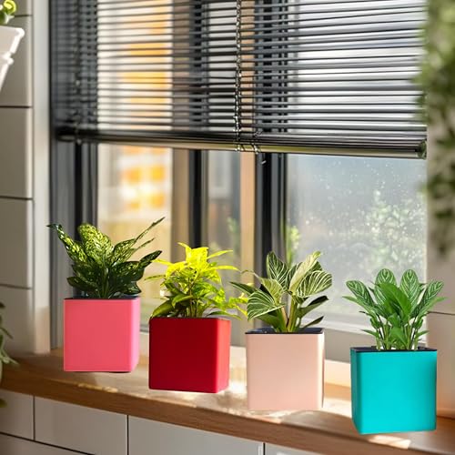 Image of Indian Discovery Self Watering Tabletop Planter| Flower Pots for Home, Terrace, Balcony, Vertical Garden Decor Flower Pots(2 PC, Sea Green, Square) |6 Inch UV-Resistant Plastic Plant Pots