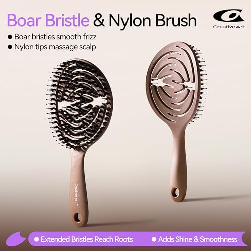 Brosse à poils de sanglier ovale en bois pour lisser les cheveux