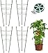 Tomato Cages