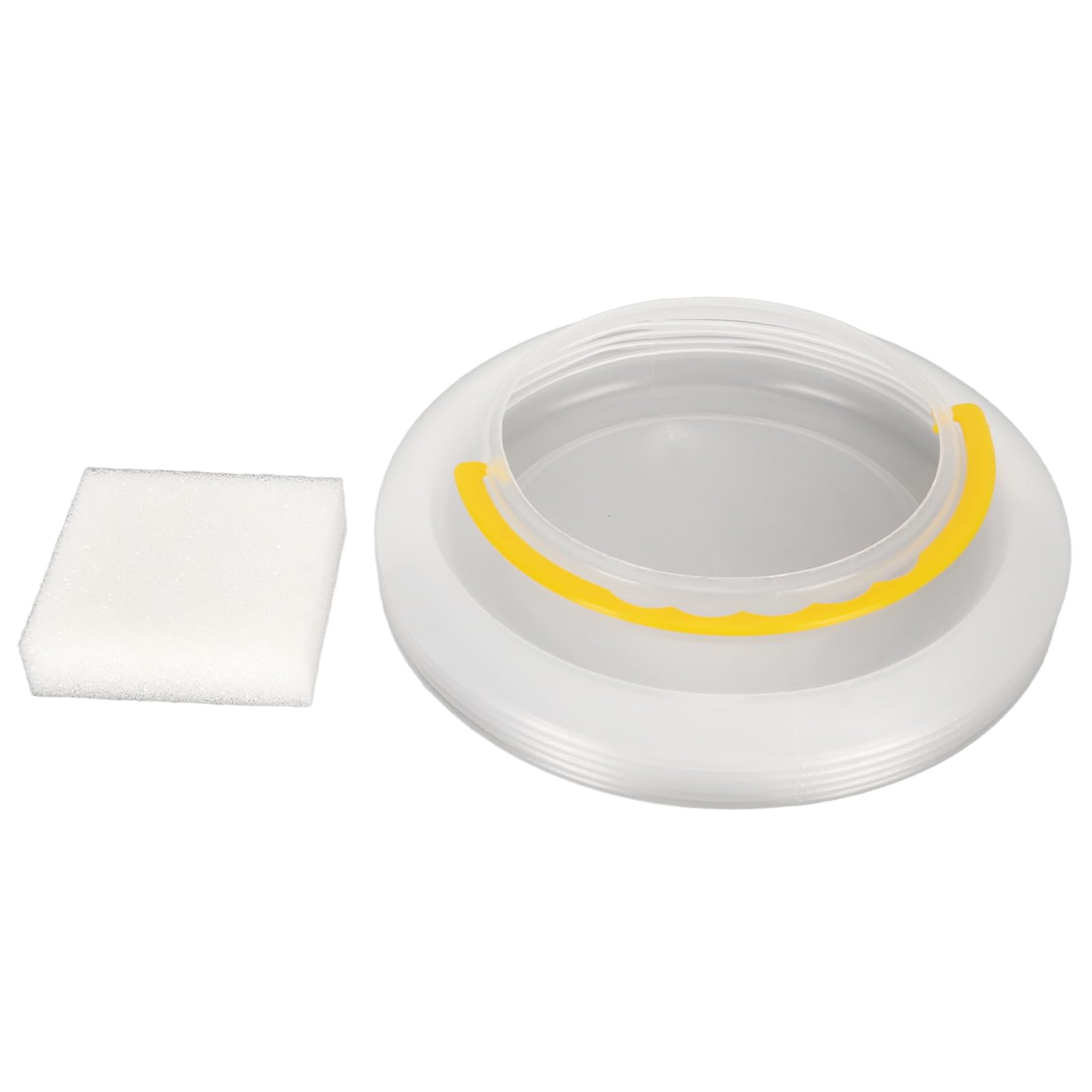 BORDSTRACT Collapsible Paint Brush Washer, Transparent, Foldable, With Sponge, Plastic, Paint Brush Cleaner and Holder