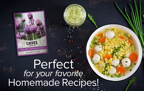 Gardeners Basics Chive Seeds for Planting is A Heirloom, Non-GMO Herb Variety, Chive Common Onion Herb Seeds Great for Indoor and Outdoor Gardening - Thumbnail 7
