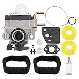 CARBBIA 753-06258A Carburetor for Ryobi RY251PH RY252CS RY254BC 2 Cycle 25cc Engine Cultivator String Trimmer Edger with 560873001 Air Filter Tune-Up Kit