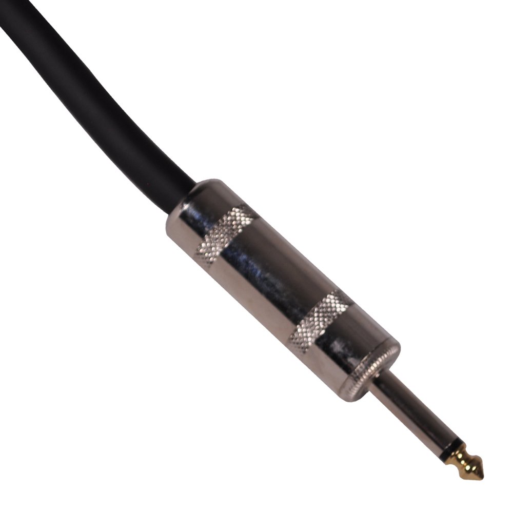 Seismic Audio SASPT12-100 Pro Audio Speakon a 1/4" 12-Gauge 2 Conduttore Cavo per altoparlanti 30,5 m