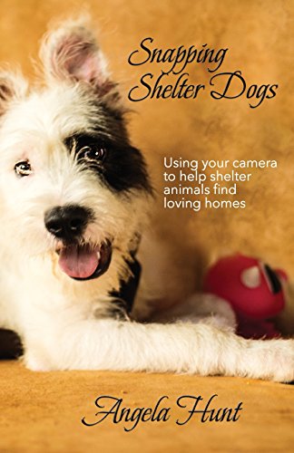 Snapping Shelter Dogs: Using Your Camera to Help Shelter Animals Find Loving Homes