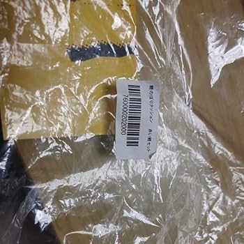 Amazon.co.jp: 岡本太郎 TARO 鯉のぼり クッション 赤い鯉