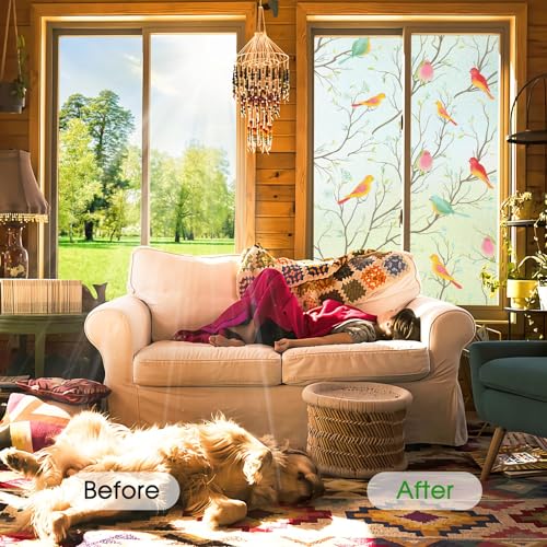Image of WOO Home Frosted Glass Window Film & Stickers (24 X 60 INCH) Privacy Window Cover for Home & Office - Easy Apply, UV Protection, Removable Decorative Film (Multi Colour Bird Film | 2 X 5 SQFT)