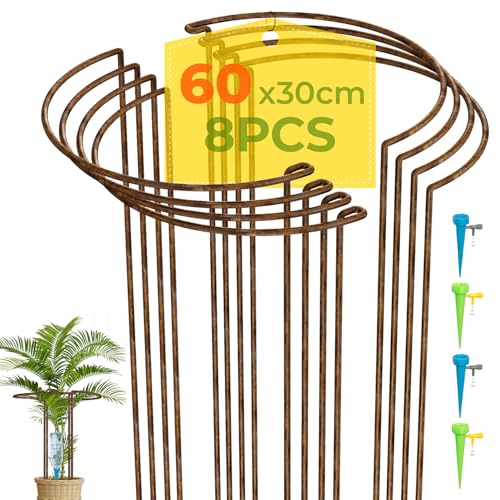 LyTaispuly 8 Stück 60 cm hohe Pflanzenstützpfähle Starkes Metall halbrund Gartenstützen Rostschleife Ringkäfig mit 4 selbstbewässernden Spikes für Pfingstrose Monstera (60 cm/8 Stück)