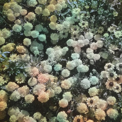 Heart [VINYL] - Vinyl release thumbnail