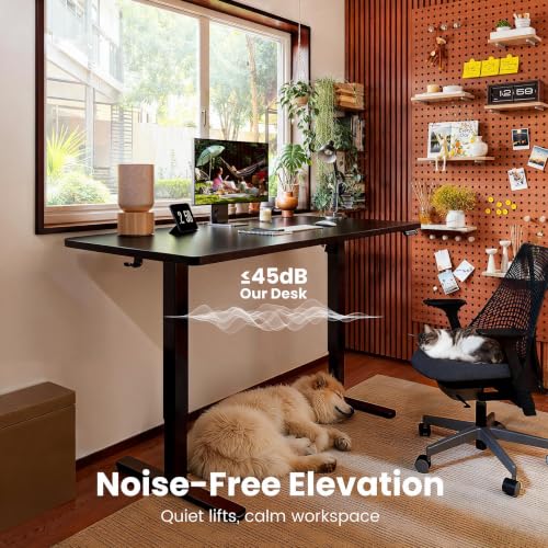 Image of ErGear Electric Standing Desk, 48 inch x 30 inch Whole Piece Desktop, Adjustable Height Computer Desk, 4 Height Memory Settings, Sit Stand Up Desk for Home Office, Black