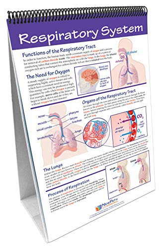 Image of NewPath Learning Human Body II: Providing Fuel & Transportation Laminated, Double-Sided inchWrite-On /Wipe-Off inch Flip Chart - Set of 10, 12 inch x 18 inch Charts (34-6732)