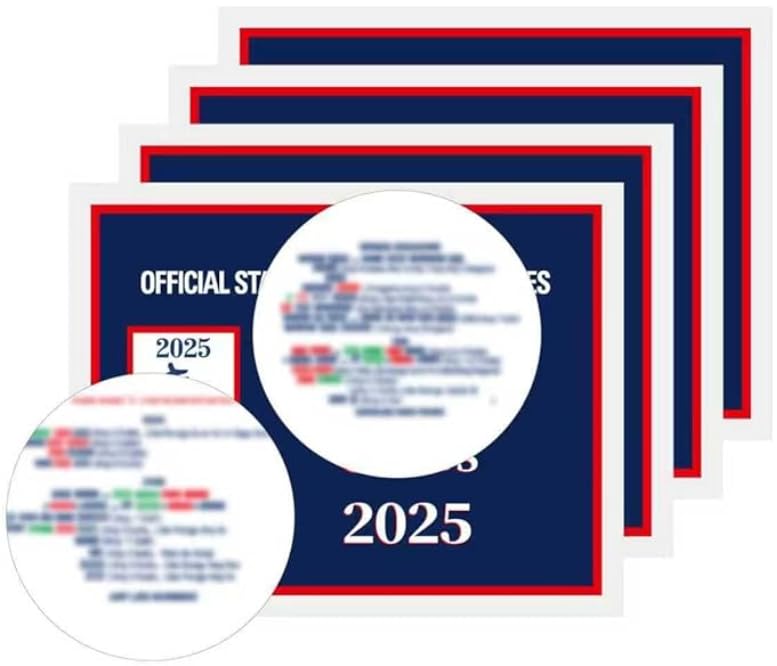 LPPROTECTOR Mahjong Cards 2025 4pcs Official Revision- Large Print Easy-to-Read - American Mah Jongg Rule Card Set (Not 2026)