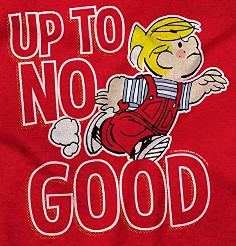 Dennis The Menace Up to No Good Youth T Shirt Tee Boys2