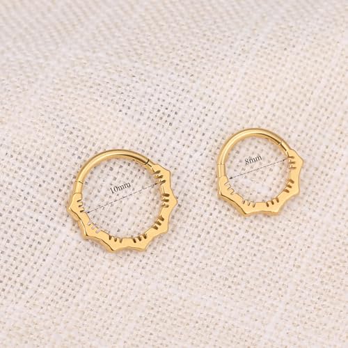 MissNity 16G Clicker Rings 316L Surgical Steel Hinged Hoops for Septum, Daith and Cartilage Earlobe Piercings Jewelry, Diameter 8mm, 10mm3