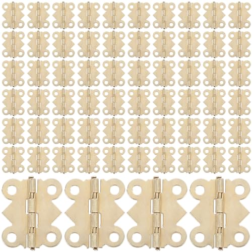 ASAKKURA 100 ?ؔpAeB[N F  ԋt WG[{bNXLrlbgؐCp